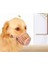 Köpek Koruma Ağızlığı 7 Li Set 4