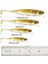 Dr.fish 5/6 Adet Balıkçılık Yumuşak Plastik Yemler Silikon Yem Kürek Kuyruklu Shad Solucan Yüzme Yemleri Tatlı Su B Alabalık 70MM 80MM 100MM (Yurt Dışından) 1