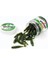 Sunmıle Balıkçılık Yumuşak Yem Solucan Yapay Yemler 4cm/0.6g 20 Adet Kaya Balıkçılığı Wobblers Leurre Souple Yem Levrek Alabalık B Yemleri (Yurt Dışından) 1