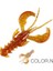 Supercontinent Crazy Lures 65MM/10 Adet 40MM/20 Adet Yumuşak Yem Balıkçılık Yemleri Karides Istakoz Yumuşak Plastik Yem Balıkçılık Yemleri (Yurt Dışından) 1