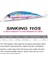 Tsurınoya 110MM 37G Ağır Ağırlık Deniz Balıkçılığı Yemi Maksimum 80M Ultra Uzun Atış Batıran Minnow Wızard 110S Yapay Sert Yemler (Yurt Dışından) 3