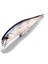 Bearking 10CM 15G Sıcak Model Balıkçılık Yemleri Sert Yem 14 Renk Seçmek Için Minnow Kalite Profesyonel Minnow Derinlik 0.8-1.5m (Yurt Dışından) 1