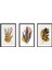 3'lü Gold Botanik Desen Foreks Tablo 4