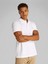 Monologo Polo 1