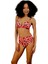 Kaplı Bikini Takımı 2