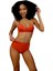 Kaplı Bikini Takımı 2