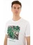 Erkek Regular Fit Bisiklet Yaka Tişört Y25344403501 2