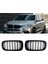Bmw X6 2013-2016 Uyumlu Plastik Panjur 1