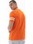 Erkek Regular Fit Bisiklet Yaka Tişört Y25344405801 6