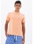 Erkek Regular Fit Bisiklet Yaka Tişört Y25344470001 5
