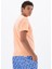 Erkek Regular Fit Bisiklet Yaka Tişört Y25344470001 7