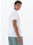 Erkek Regular Fit Bisiklet Yaka Tişört Y25344405401 6