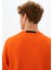 Erkek Regular Fit Bisiklet Yaka Sweatshirt K26124925301 5