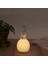Ananas Şeklinde Desenli Büyük Boy Pilli Masa ve Gece Lambası (4887) 3