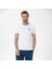Timothy T-Shirt Karışık Erkek T-Shirt RFTIMOTHY22-10 5