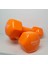 2 kg Vinil Dambıl Pvc 2 Adet 2