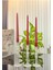 3 Lü Yivli Üfleme Cam El Yapımı Şamdan&mumluk (15 cm -17 cm -19 cm ) 2