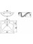 BD060 Bedensel Engelli Lavabo 60x50 cm 2
