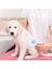 Sava Home® Kedi Köpek Tüy Toplayıcı Kendini Temizleyebilen Ergonomik Saplı Evcil Hayvan Tarağı Mavi 5