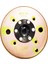 Rotor ( Manyeto ) Motogusto Rapıd 50 cc 1