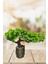 Yapay Çiçek Bonsai Ağacı Kütük Saksıda Yatık Akasya Dekoratif Yapay Ağaç Bonzai 30*20 cm 1