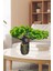 Yapay Çiçek Bonsai Ağacı Kütük Saksıda Yatık Akasya Dekoratif Yapay Ağaç Bonzai 30*20 cm 2