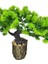 Yapay Çiçek Bonsai Ağacı Kütük Saksıda Yatık Akasya Dekoratif Yapay Ağaç Bonzai 30*20 cm 4