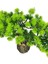 Yapay Çiçek Bonsai Ağacı Kütük Saksıda Yatık Akasya Dekoratif Yapay Ağaç Bonzai 30*20 cm 5