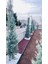 KARIŞIK Ponza Taşı Volkanik Cüruf 25-50MM 5LT Saksı Bahçe Akvaryum Teraryum Peyzaj Ponzası 5