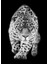 aslan-Kaplan-Leopar Tablosu 01|çerçeveli Temperli Cam Tablo 3lü Dikey 4