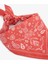 Camella Renkli Bandana 2