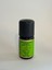 Zencefil Yağı 10 ml 3