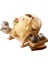 Miniso Pom Pom Purin Dört Mevsim Serisi Kör Kutu Pompompurin Anime Aksiyon Figürü Sürpriz Çanta Koleksiyonu Modeller Oyuncaklar Hediyeler Renk:sıcak Rahatlatmak (Yurt Dışından) 1