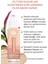 Detoks Etkili Işıltı Veren Fondöten- Bej 150- 30 Ml-63562 2