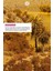 Saç ve Vücut Yağı - Oryantal Argan - 100ml-57960 4