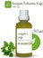 Isırgan Tohumu Yağı 50 ml - Soğuk Sıkım 1