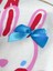Kız Çocuk Pamuklu Ekru Bunnies Desenli T-Shirt ve Pembe Çizgili Bermuda Takım - Mavi Fiyonklu Tavşan Baskılı 2