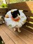 Kedi ve Küçük Irk Köpek Boyunluk-Elizabeth Yakalık Operasyon(Ameliyat)Boyunluk (Safari) 5