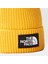 TNF Logo Box Cuffed Sarı Bere 2