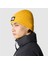 TNF Logo Box Cuffed Sarı Bere 3