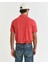 Erkek Kırmızı Regular Fit Polo 2210.643 3