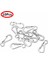 10 Adet Gümüş 10X Alüminyum Alaşım Mini Karabiner Klips Küçük Kanca Yay Tokalar Anahtarlık Usa (Yurt Dışından) 1