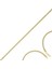 Altın Zincir T072933 1