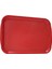Abs Plastik Kırmızı Renk Servis Tepsisi 29*20CM 4