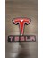 Tesla Dekoratif Aydınlatma LED Gece Lambası 5
