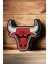 Chicago Bulls Dekoratif Aydınlatma LED Gece Lambası 4
