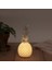 Büyük Boy Ananas Desenli LED Masa Lambası Pilli Dekoratif Gece Lambası 1