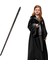 Ginny Weasley Asası Harry Potter Karakteri Kutulu Asa 2