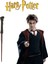 Harry Potter Asası Harry Potter Karakteri Kutulu Asa 2
