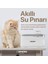 Akıllı Kedi Köpek Su Pınarı Ultra Sessiz Led Işıklı Su Şelalesi ve 4 Adet Yedek Filtre 2'li Pet Seti 6